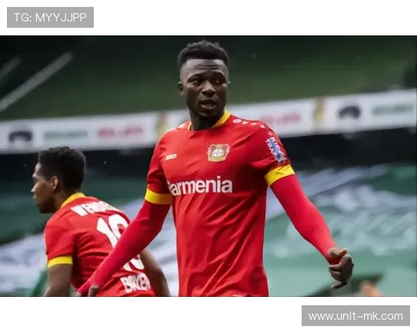 布基纳法索“黑马之路”：小城崛起背后的经济奇迹